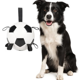 Produktbild von Flamingo Towa Schwimmfähiger Fußball für Hunde Weiß/Schwarz Ø 14 cm mit Griffen