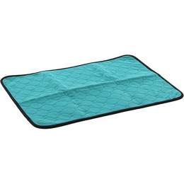 Produktbild von Flamingo Waschbare Trainingsmatte Patsy XL Grün - 101 cm
