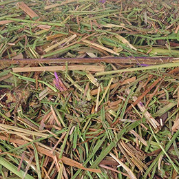 Produktbild von Flamingo Wiesenheu - 2,5 kg