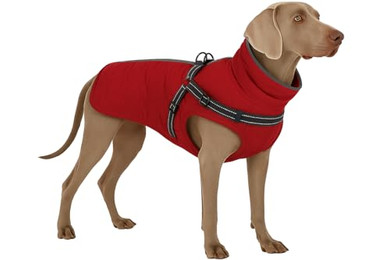 Produktbild von Flamingo Wintermantel Duker Rot 50 cm