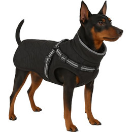 Produktbild von Flamingo Wintermantel Duker Schwarz 30cm