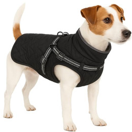 Produktbild von Flamingo Wintermantel Duker Schwarz 35cm - 1 Stk.