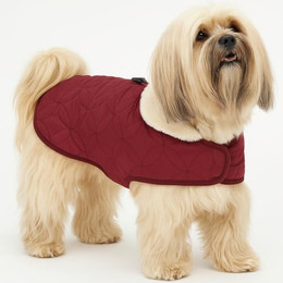 Produktbild von Flamingo Wintermantel Koda Bordeauxrot 35 cm