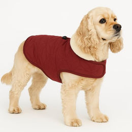 Flamingo Wintermantel Koda Bordeauxrot 40 cm – Bild 1 von 6