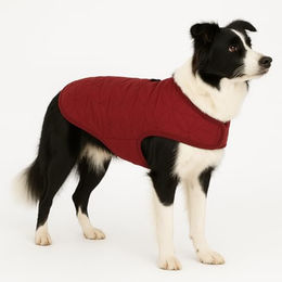 Flamingo Wintermantel Koda Bordeauxrot 50 cm – Bild 1 von 6