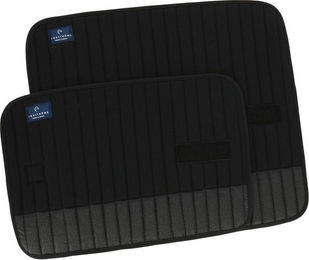 Produktbild von Flanell für Pferde Equithème Glitter