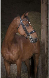 Produktbild von Flansch Norton Pro