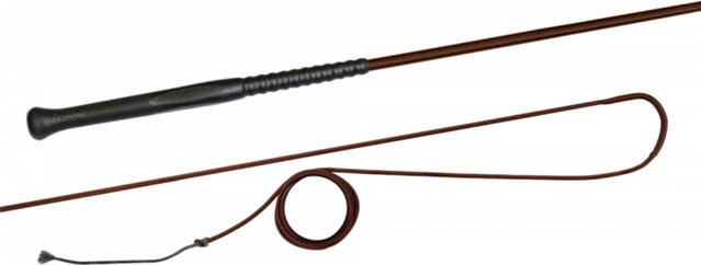 Produktbild von FLECK Longierpeitsche ERGO-Griff, 200 cm - 1 Stück