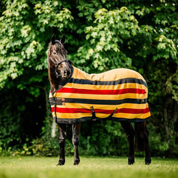Produktbild von Fleece-Abschwitzdecke für Pferde Horseware Newmarket