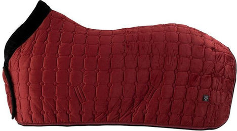 Produktbild von Fleece für Pferde BR Equitation CLX 0g