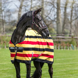 Produktbild von Fleece für Pferde Horseware Rambo Deluxe