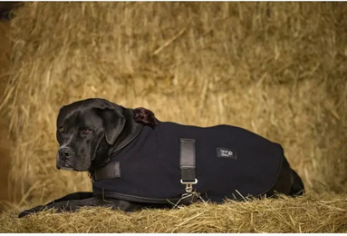 Produktbild von Fleece-Hundedecke Diego & Louna Teddy