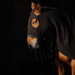 Produktbild von Fleecedecke für Pferde Equithème 0g