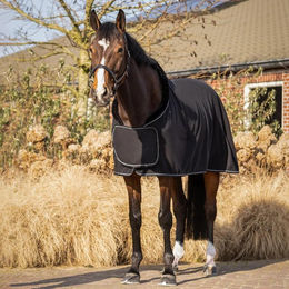 Produktbild von Fleecedecke für Pferde QHP Salerno