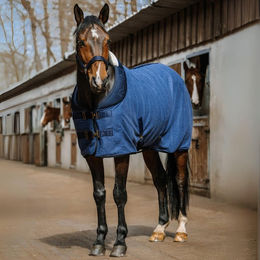 Produktbild von Fleecehemd für Pferde Equithème Comfortech