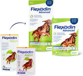 Flexadin Advanced - 60  Brocken – Bild 1 von 5