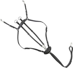 Produktbild von Flexibles Jagdhalsband Kavalkade Dekor