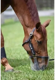 Produktbild von Flexibles Weide-Maske für Pferde ThinLine ThinLine