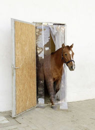 Fliegen-Streifenvorhang-Set PVC 30x225 cm – Bild 1 von 3