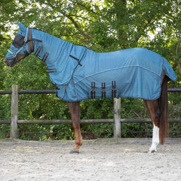 Produktbild von Fliegenabdeckung mit abnehmbarem Hals und Haube für Pferde QHP