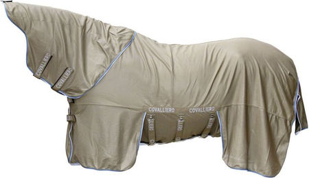 Fliegendecke – Bild 1 von 2