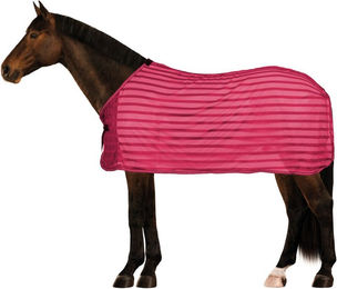 Fliegendecke Bari – Bild 1 von 4