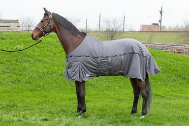 Produktbild von Fliegendecke für Pferde Harry's Horse Mesh Pro Belly