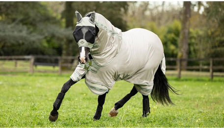 Produktbild von Fliegendecke für Pferde LeMieux Arika Armour-Tek Fly