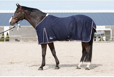 Fliegendecke Harry's Horse Honeycomb – Bild 1 von 2