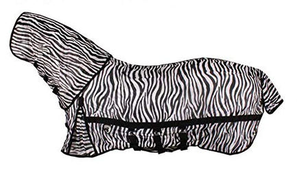 Fliegendecke Horka – Bild 1 von 2