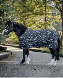 Produktbild von Fliegendecke Lucky