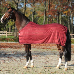 Produktbild von Fliegendecke Stripe