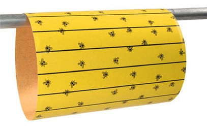 Fliegenfalle Kerbl FlyMaster – Bild 1 von 4