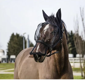 Produktbild von Fliegenhalfter und Fliegenmaske Anti-UV Equithème