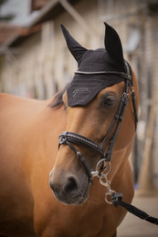 Produktbild von Fliegenhaube Eden By Penelope