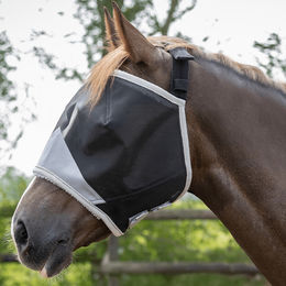 Produktbild von Fliegenhaube für Ponys ohne Ohren QHP Solaire