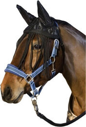 Produktbild von Fliegenhaube mit Ohrenschutz für Pferde USG