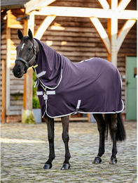 Produktbild von Fliegenhemd für Pferde LeMieux Juniper