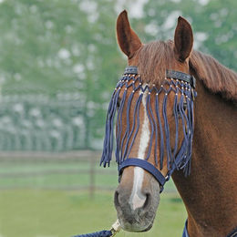 Fliegenkordelband EXKLUSIV – Bild 1 von 5