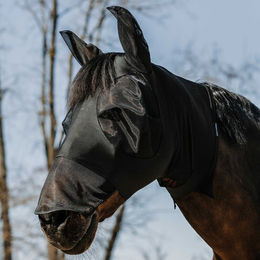 Produktbild von Fliegenmaske für Pferde Equithème Hood