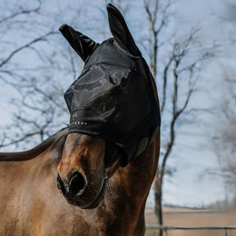 Produktbild von Fliegenmaske für Pferde Equithème Mesh