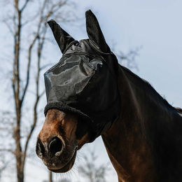 Produktbild von Fliegenmaske für Pferde Equithème Teddy