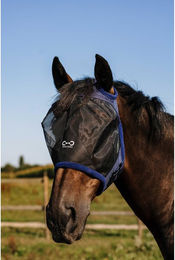 Produktbild von Fliegenmaske für Pferde ohne Ohren Riding World First