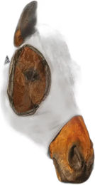 Produktbild von Fliegenmaske für Pferde Professional's Choice Comfort-Fit
