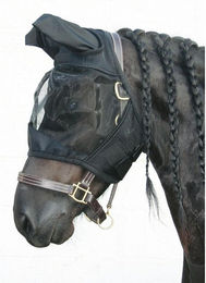 Produktbild von Fliegenmaske Harry's Horse Flyshield