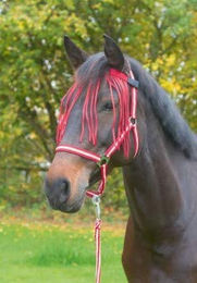 Fliegenstirnband für Pferde Covalliero – Bild 1 von 2