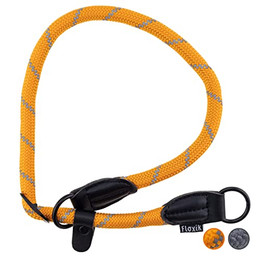 Produktbild von Floxik Retrieverhalsband orange mit Zugstopp für mittelgroße und große Hunde