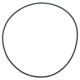 Produktbild von Fluval FX2 Deckel Dichtung