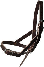 Produktbild von Fohlenhalfter aus chromiertem Leder Ronzon Legend