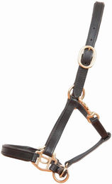 Produktbild von Fohlenhalfter aus Leder T de T